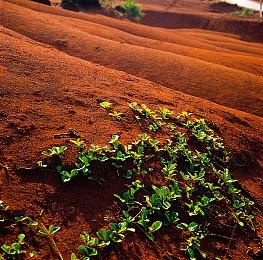 初代《漫漫长夜》将针对高配电脑进行视觉效果升级