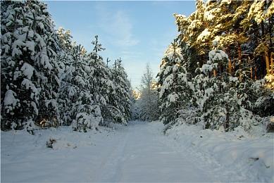 喜加二！Epic商城移动端也开始免费送游戏了